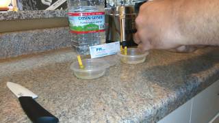 Key Lime in spring water pH test [upl. by Sipple188]