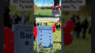 30 Tierschutzhunde auf RudelSuche beim Bark Date in Bonn adoptdontshop dogrescueshelter rescuedog [upl. by Lazarus]