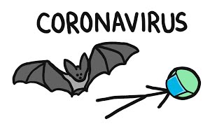 Why Do Bats Carry So Many Diseases like Coronavirus [upl. by Novek]