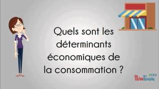 La consommation et ses déterminants [upl. by Parthena511]