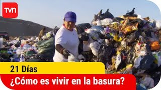 ¿Cómo es vivir y trabajar en la basura  21 días [upl. by Aleen713]