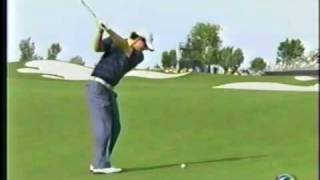 Rory McIlroy Slow Motion Swing [upl. by Elleinaj36]