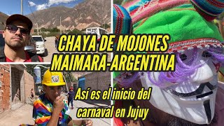 Así es la CHAYA DE MOJONESEl inicio del carnaval en el norte argentinoMaimaraJujuyARGENTINA [upl. by Edra]