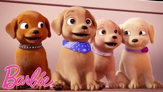 Les chiots les plus mignons du monde  BarbieFrancais [upl. by Borreri560]