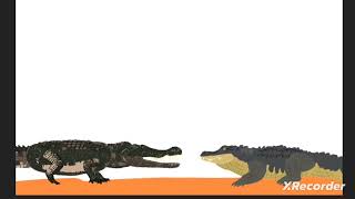 jacare vs crocodilo [upl. by Ethelda]