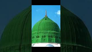 Mera Nabi Mera Nabi he sajidmehmood makkah madina trending trendingshorts fyp youtubeshorts [upl. by Atram]