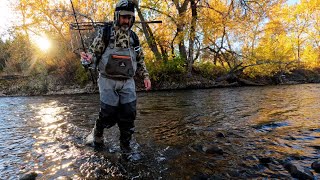 Nonstop November Trout on the Boise River and how to catch them [upl. by Nitsirt]