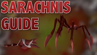 OSRS Sarachnis Guide  Easy Kills  Noob Friendly [upl. by Shepard468]