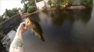 Sandestin Resort Sandestin fl golf course Bass Fishing [upl. by Ollopa80]