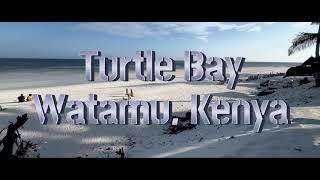 Turtle Bay Beach Watamu Kenya [upl. by Ayotnahs890]