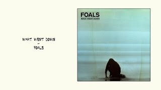 Foals  What Went Down ALBUM REVIEW [upl. by Huskamp466]