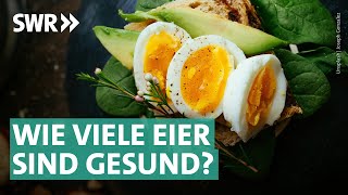 Eier bewusster Genuss und nachhaltige Geflügelhaltung  Marktcheck SWR [upl. by Betti742]