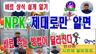 비료 특강 비료 사용법 쉽게 공부하기 비료의 3요소 NPK 특성 만 제대로 알면 비료 주는 방법 달라진다 질소 효능 인산 효능 가리칼륨효능 비료 NPK 배합 비율 [upl. by Dygal]