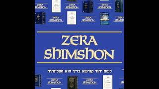 Ana Rafah Na Lah  The Zera Shimshon Weekly Parsha Class by Mordecai Holtz [upl. by Glynda]