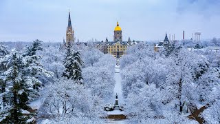 Merry Christmas from Notre Dame 2024 [upl. by Arymas396]