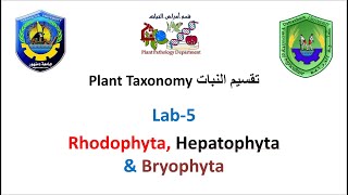 Section 5 Plant Taxonomy  Rhodophyta Hepatophyta amp Bryophyta [upl. by Aihsetan]