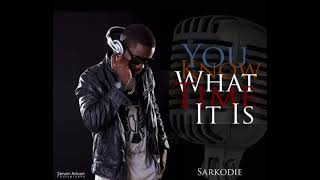 Sarkodie ft Mugeez  Baby [upl. by Airet331]