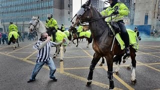 Newcastle Fan Punches A Horse [upl. by Nilyac]