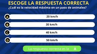 60 Preguntas sobre Velocidades del carnet de conducir B [upl. by Enial]