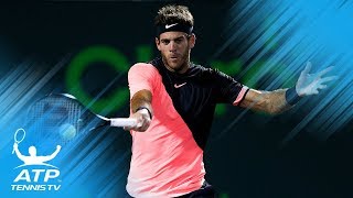 Juan Martin del Potro Top 30 Biggest Forehands [upl. by Neerahs441]