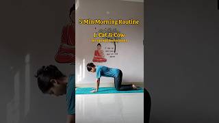 𝟱 𝗺𝗶𝗻 𝗺𝗼𝗿𝗻𝗶𝗻𝗴 𝘆𝗼𝗴𝗮🧘‍♀️🪷 yoga yogapractice morningyoga shortsfeed shorts youtube [upl. by Wulfe]