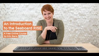 An Introduction to the Seaboard RISE 12  Course Outline [upl. by Hales619]