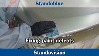 Fixing paint defects [upl. by Llenaj6]