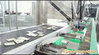 Revolutionize Packaging with Delta Robot Automation Multipack Sachet Packing Machine [upl. by Adnorahc534]