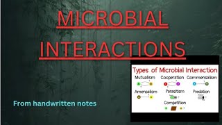 MICROBIALINTERACTION microbial microbialgenetics microorganism [upl. by Orr611]