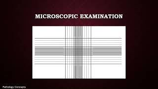 Microscopic examination of CSF  Cerebrospinal Fluid  Microscopy [upl. by Ihsar]