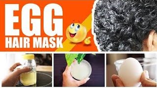 Egg Hair Mask For Dandruff Best Home Remedy Best Solution By Banos Daily Routine [upl. by Aciamaj]