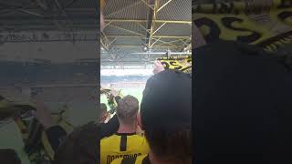 Adeyemi 1 Tor  BVB vs Wolfsburg [upl. by Nepean97]