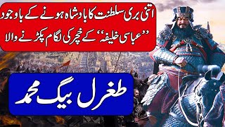 History of Sultan Tughril Beg Muhammad  First Ruler of Seljuk Empire  Urdu amp Hindi [upl. by Rosenkrantz]