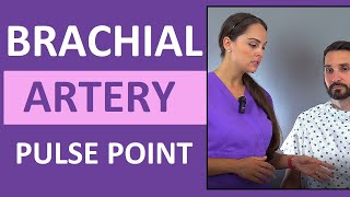 Brachial Artery Pulse Point Location Nursing Skill [upl. by Willman38]