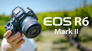 Canon EOS R6 Mark II Review From LUMIX amp SONY Users Perspective [upl. by Hareema]