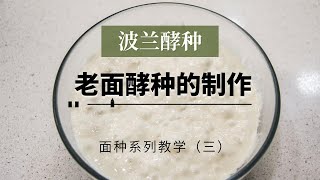 波兰酵种的制作 天然酵种的制作教学（三）波兰种 鲁邦种 法国老面 海绵酵种 面包的制作教学 [upl. by Stephani830]