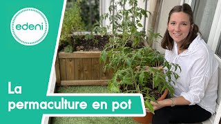 La permaculture en pot [upl. by Herschel]