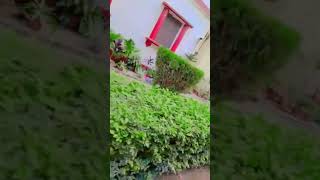 Love flower hostel bhu shortvideovai 2024youtube subscriber 🎋🌹💐🥀🌺🌻🌼🪻 [upl. by Yentroc236]