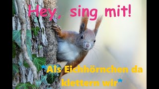 🎵🤍🐿️🧗‍♂️🌲👀quotAls Eichhörnchen da klettern wirquot Kinder u Volkslieder  Liedtext Notenlink ↓InfoBox [upl. by Cindi353]