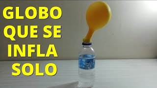 Experimento el globo que se infla solo con bicarbonato Explicación y procedimiento🎈 [upl. by Nnyltiak247]