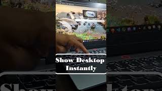 Switch between Open windows and Show desktop Instantly shortvideo shortcutkeys computer asmr [upl. by Halford179]