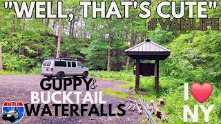 SHAKING butterflies and a CUTE waterfall on THIS VANLIFE adventure I LOVE NY [upl. by Cirdek]