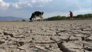 Desventajas del uso de Agroquímicos [upl. by Switzer]