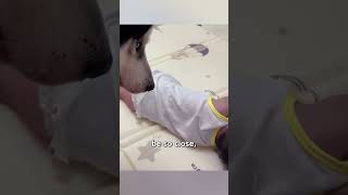 Protective Husky Sneaks into Room to Watch Over Sleeping Child [upl. by Mclyman]