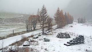 La neve sorprende le Alpi il Mont Ventoux si risveglia sotto un manto bianco in pieno autunno [upl. by Philbrook]