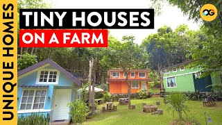 Explore These Vibrant and Cozy Tiny Houses on a Farm in Davao City  Unique Homes  OG [upl. by Leva623]