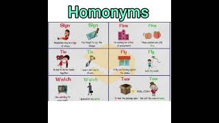 Homonyms homographshyponyms grade 3 [upl. by Kashden487]