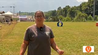 Il Centro Cinofilo Valsugana protagonista di due gare di agility dog al campo sportivo di Torcegno [upl. by Casia762]