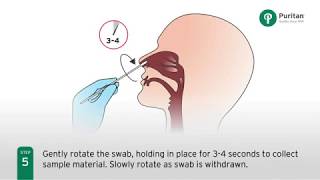 How to Collect a Nasal Swab Specimen [upl. by Ahsen]