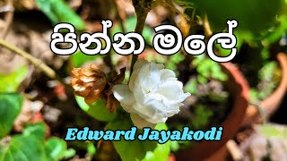 Pinna Male පින්න මලේ  Edward Jayakodi sinhala song sinhalasong sinhalasongs [upl. by Everard]